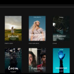 publicity_viewingexperience